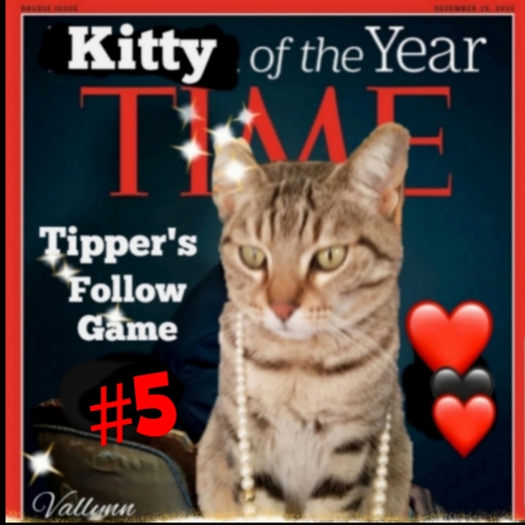 GO LIKE GAME #6 - Picture 4 of 14